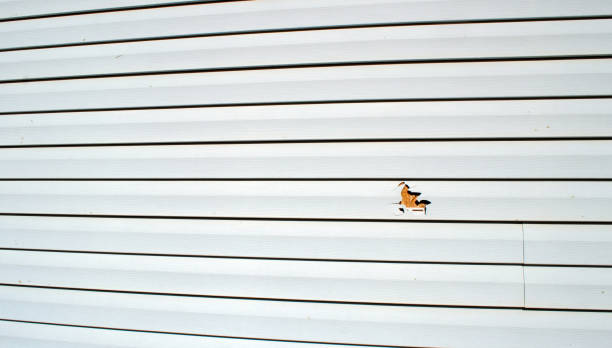Property Management Cleanouts in East Honolulu, HI